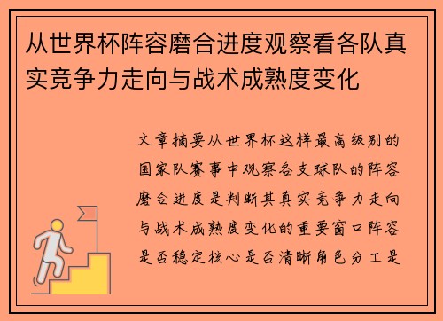 从世界杯阵容磨合进度观察看各队真实竞争力走向与战术成熟度变化